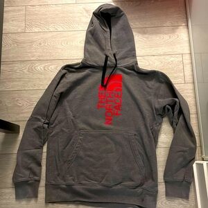 The North Face Logo Hoodie